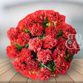 Red Carnations - Bake N Bloom