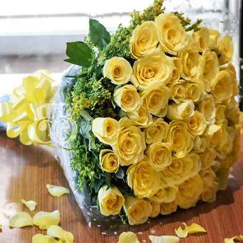 Yellow Fellow - Bake N Bloom