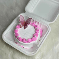 Butterfly Bento Cake - Bake N Bloom