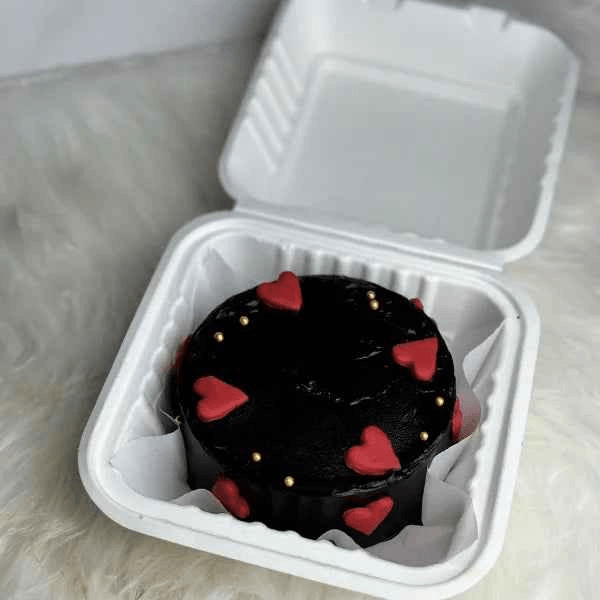 Choco Bliss Bento Cake