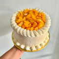 mango-website-.png